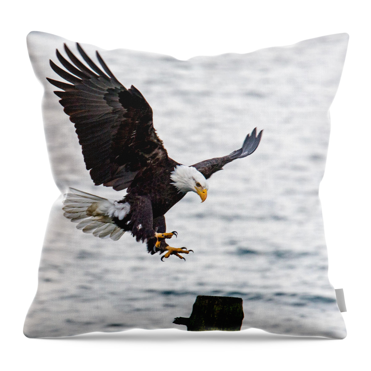 Eagle Throw Pillow featuring the photograph Flaps Down... Gear Down by Randy Hall
