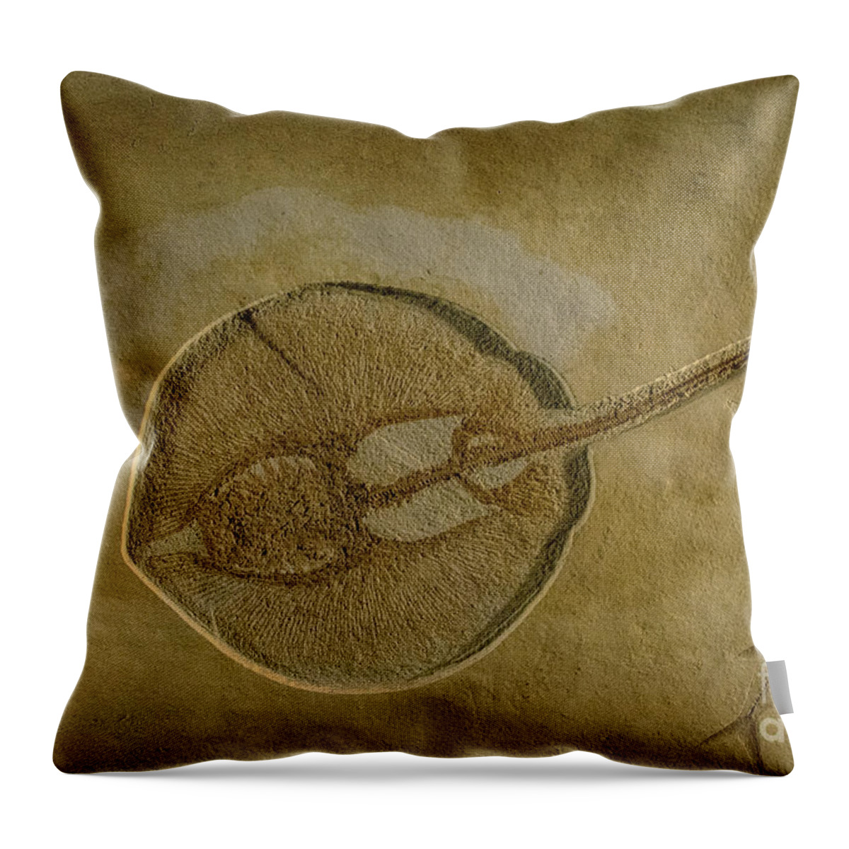 Fish Fossil Throw Pillow featuring the photograph Flat Fish Fossil by Chris Thaxter