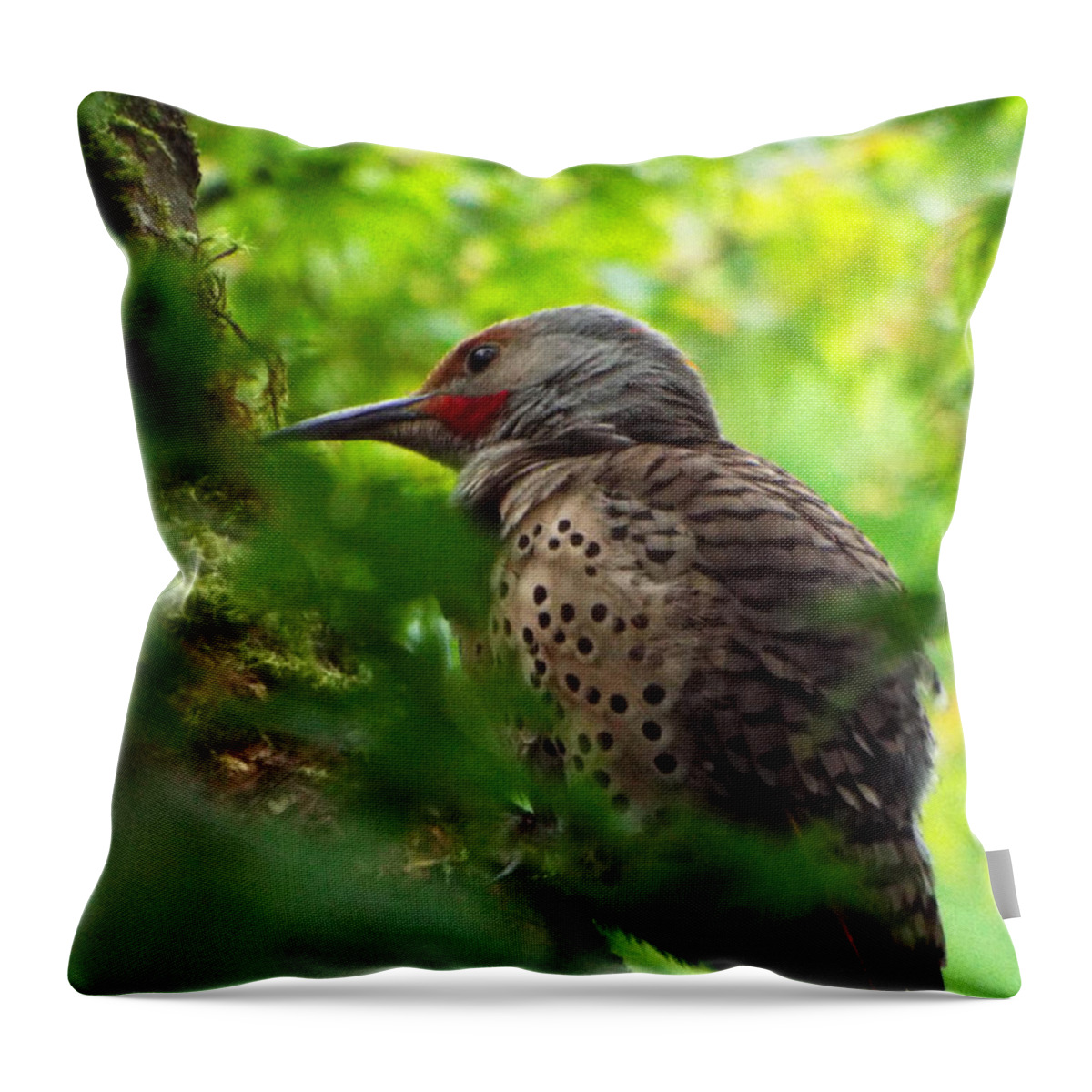 Animals Throw Pillow featuring the photograph Flickers Last Stand by Kym Backland