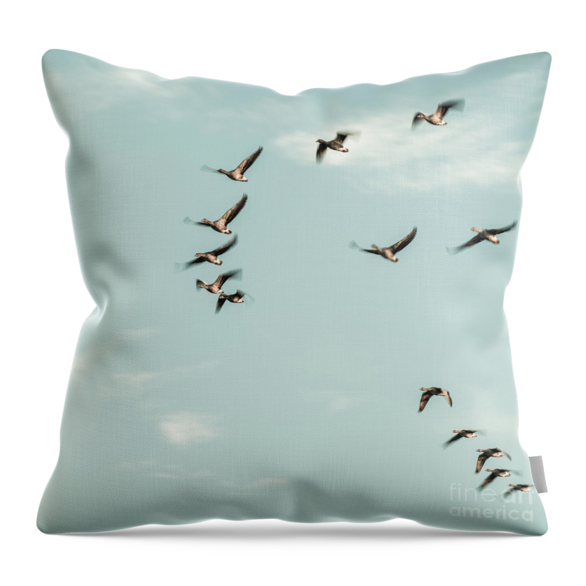 Ammersee Throw Pillow featuring the photograph Flight Of The Goose by Hannes Cmarits