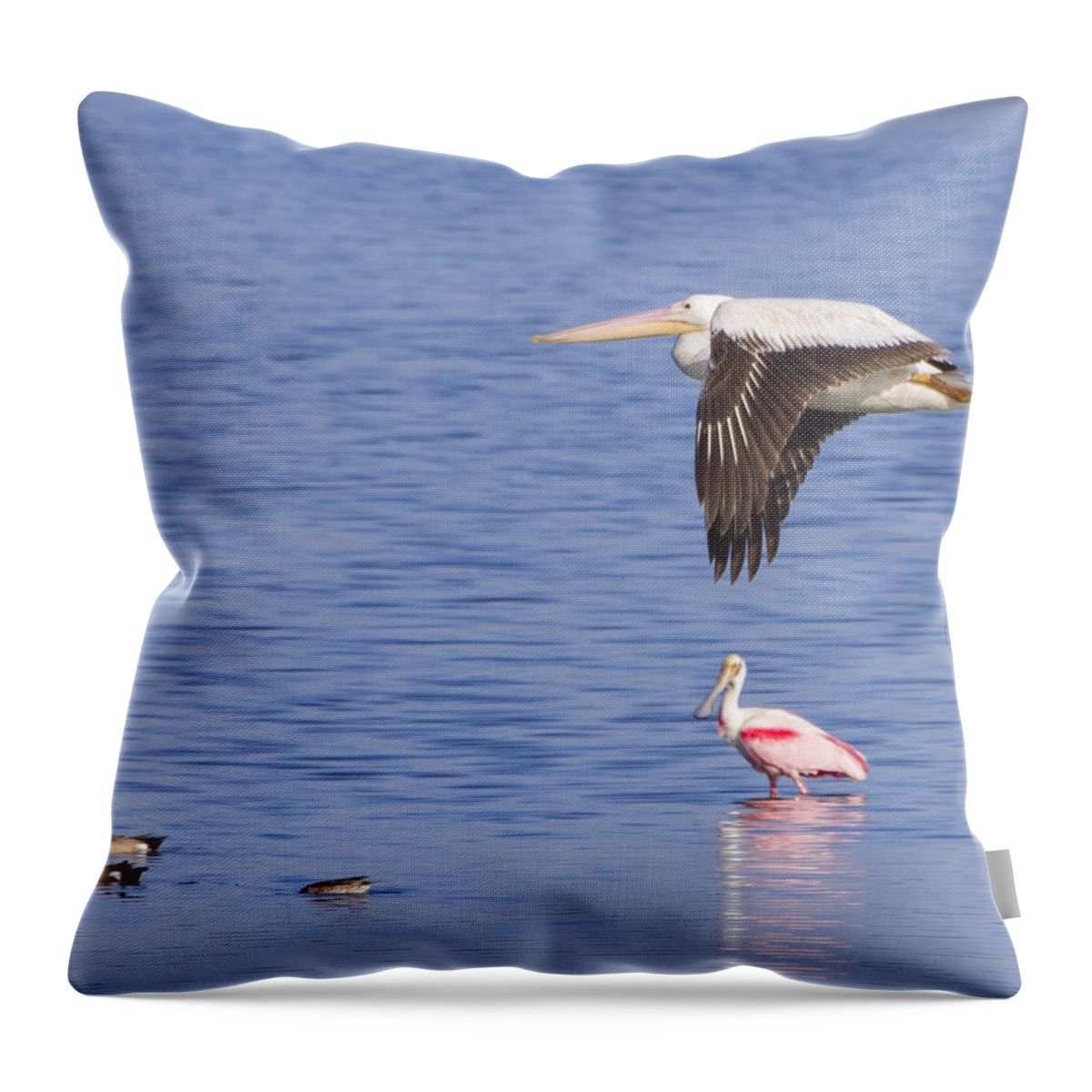 Seagull Throw Pillow featuring the photograph Flight of the Pelican by Mark Andrew Thomas