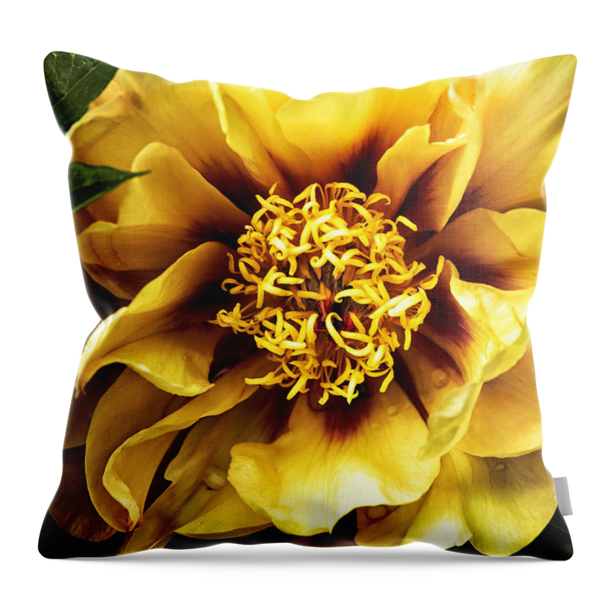 Peony Throw Pillow featuring the photograph Flirt by Belinda Greb