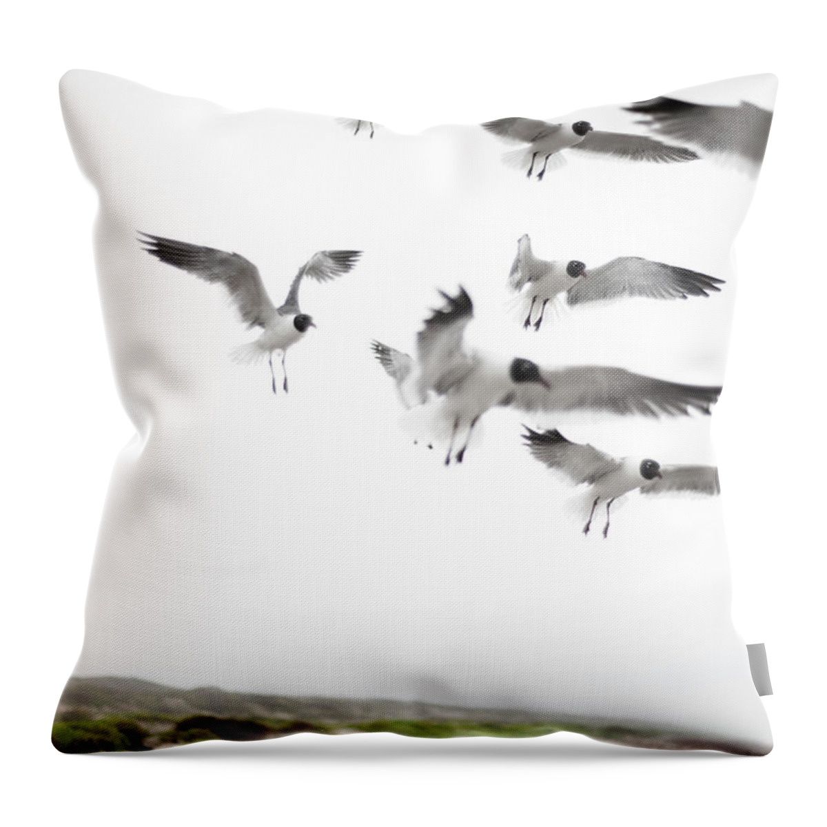 Animal Themes Throw Pillow featuring the photograph Flock Of Seagulls by Olga Melhiser Photography