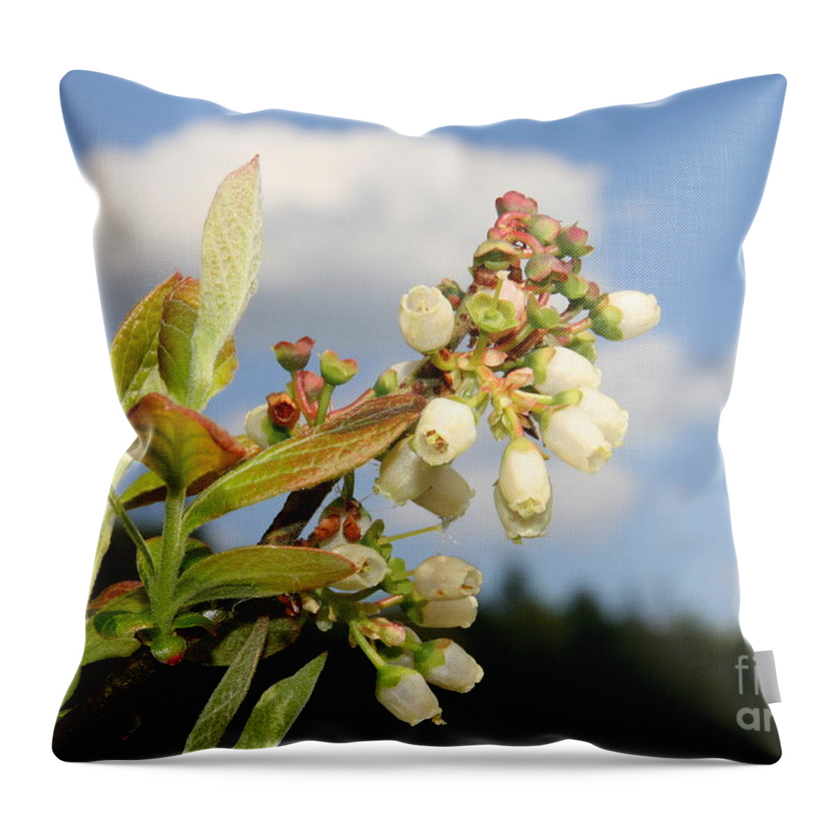 Flower Photography Throw Pillow featuring the photograph Floral Bells by Neal Eslinger