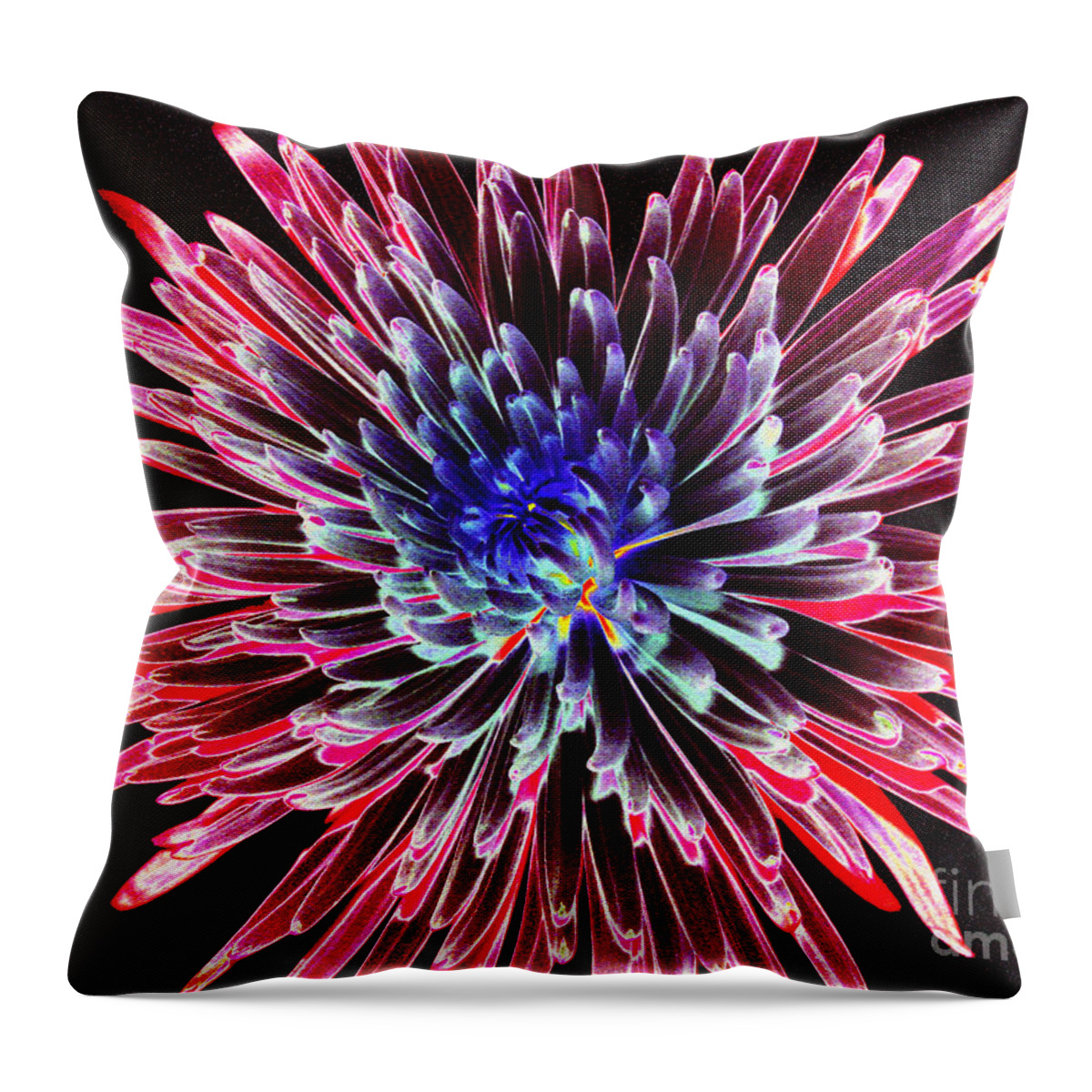 Abstract Throw Pillow featuring the photograph Floral Color Burst by Sue Melvin