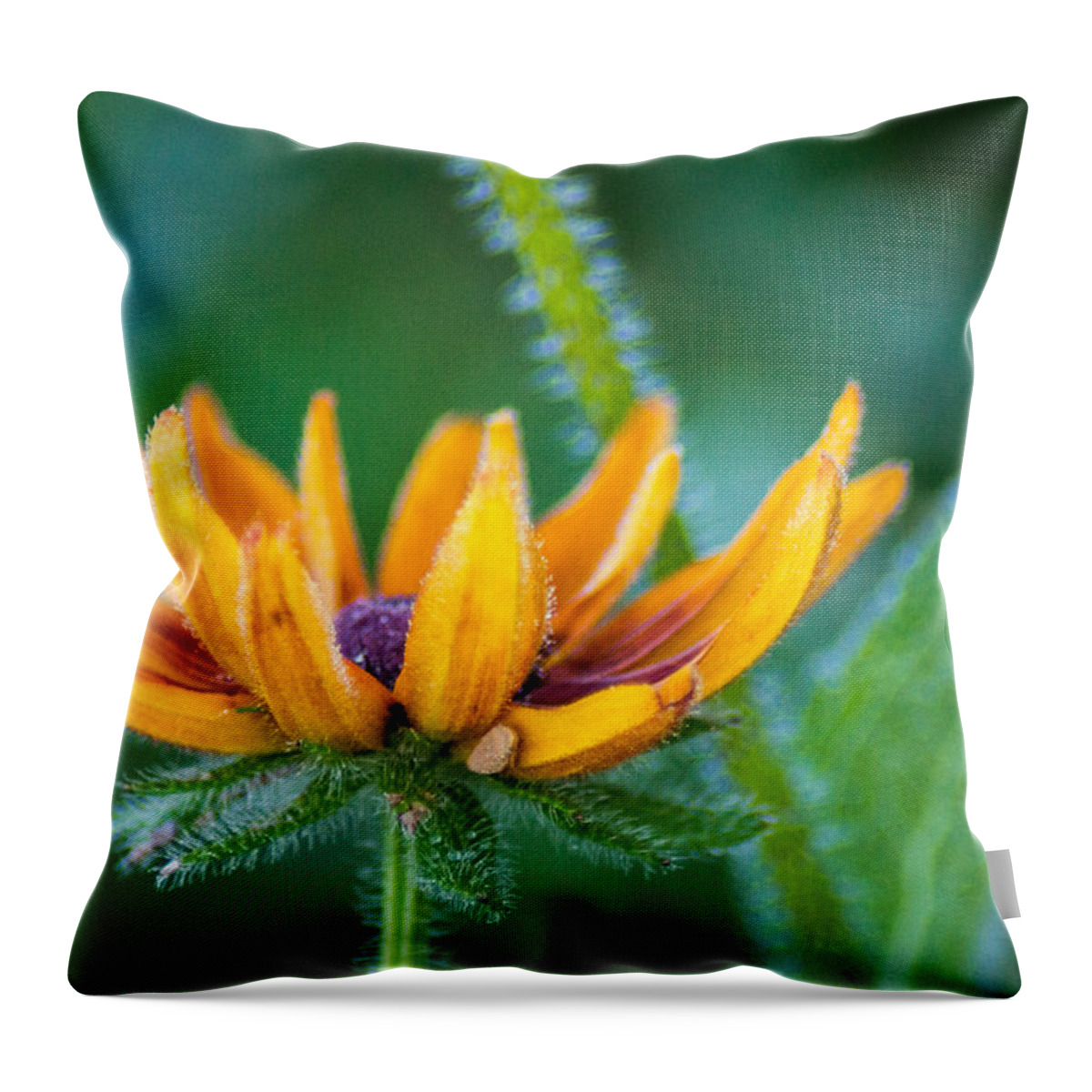 Wildflower Throw Pillow featuring the photograph Floral Fuzz by Bill Pevlor