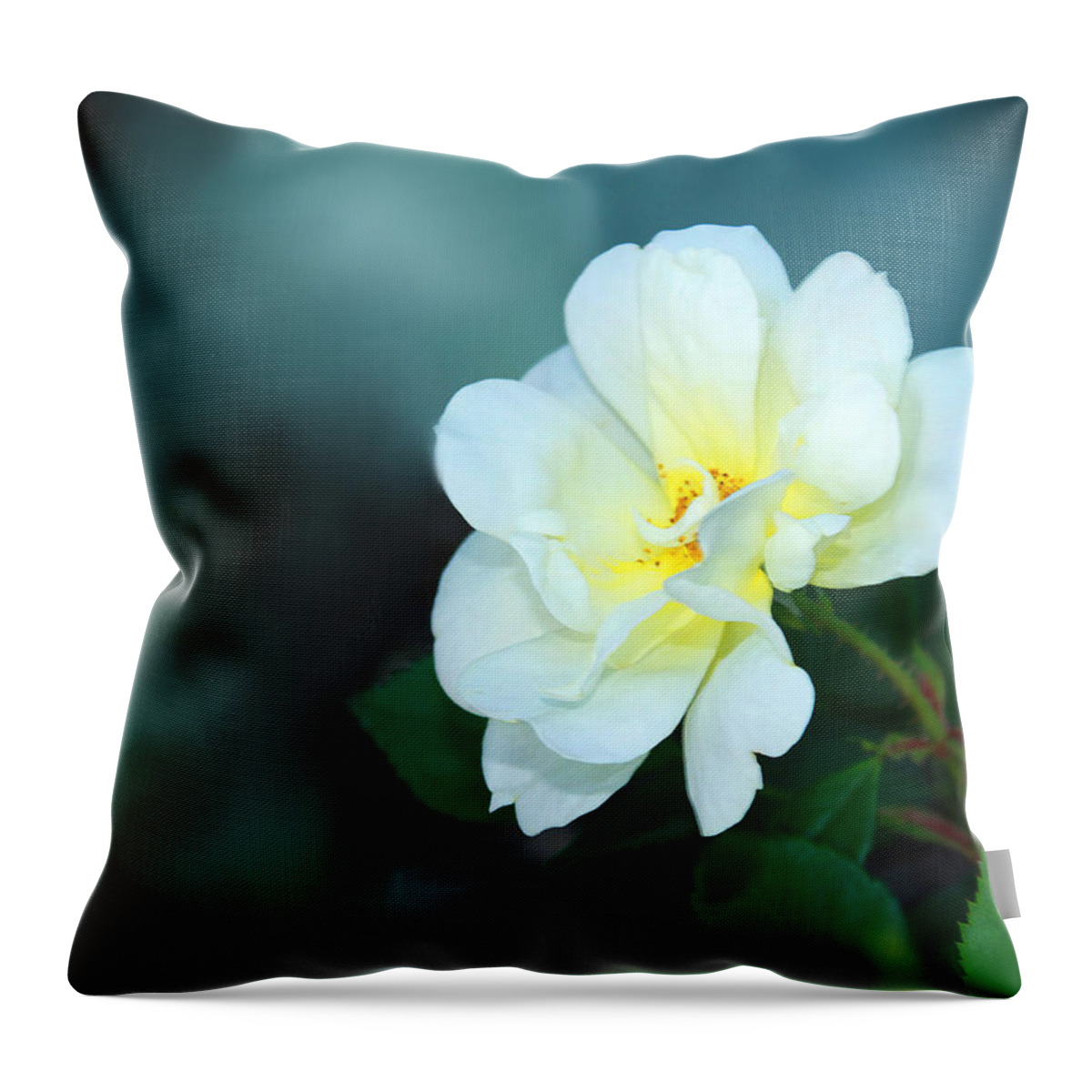 Flower Throw Pillow featuring the photograph Apple Blossom Time by Bonnie Willis