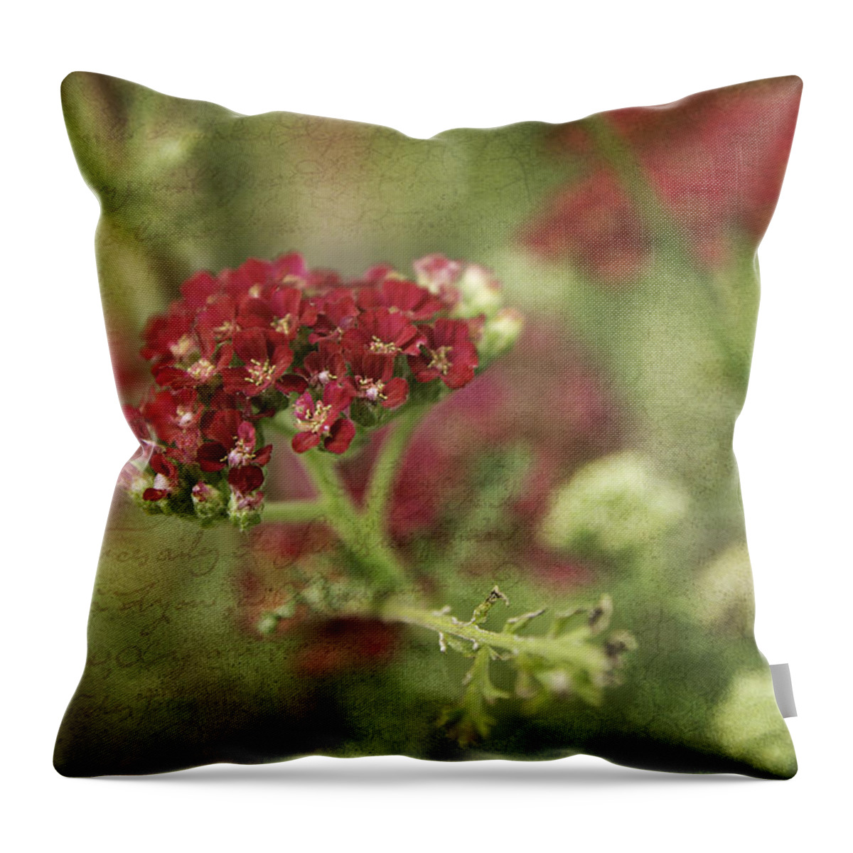 Texture Throw Pillow featuring the photograph Floral Prose by Bill Pevlor