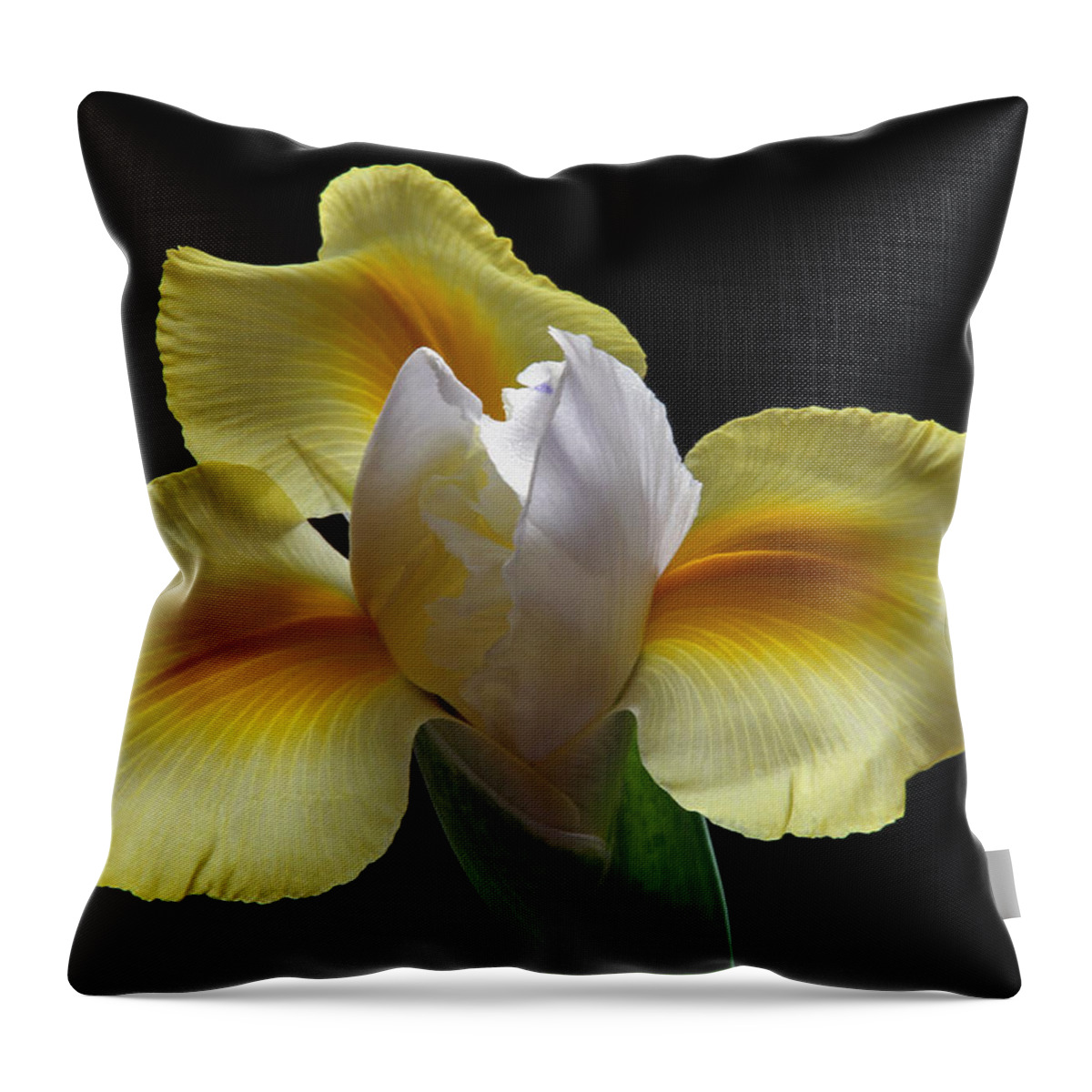 Iris Throw Pillow featuring the photograph Floral Roar by Juergen Roth