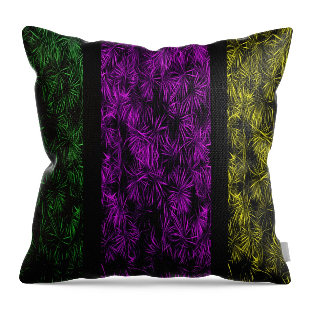 Floral Throw Pillow featuring the painting Floral Trio Panes Abstract by David Dehner