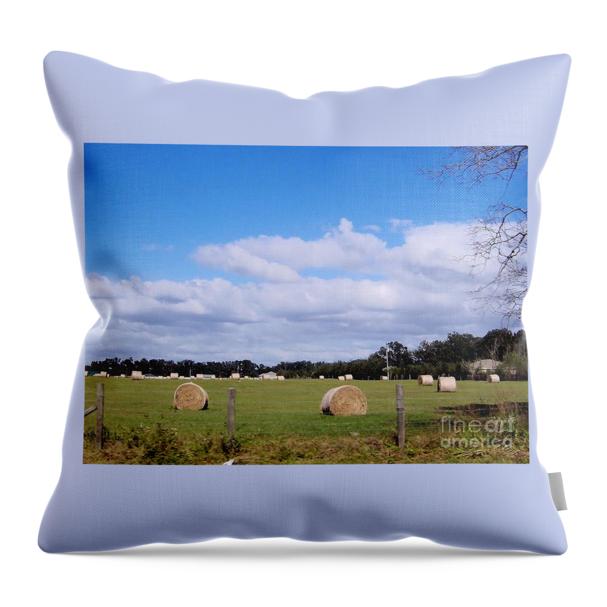 Hay Rolls Throw Pillow featuring the photograph Florida Hay Rolls by D Hackett