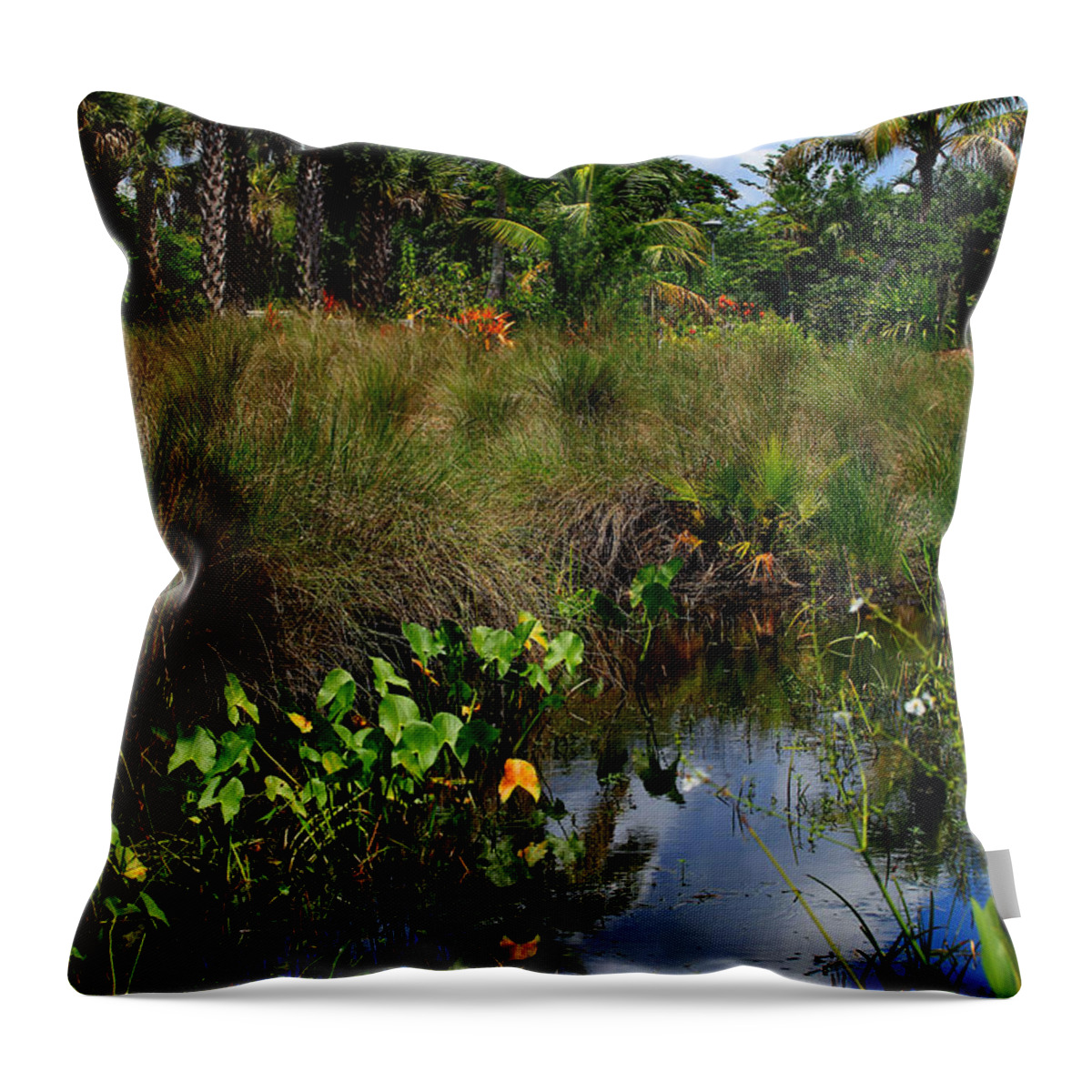 Lagoon Throw Pillow featuring the photograph Florida Lagoon by Joseph G Holland