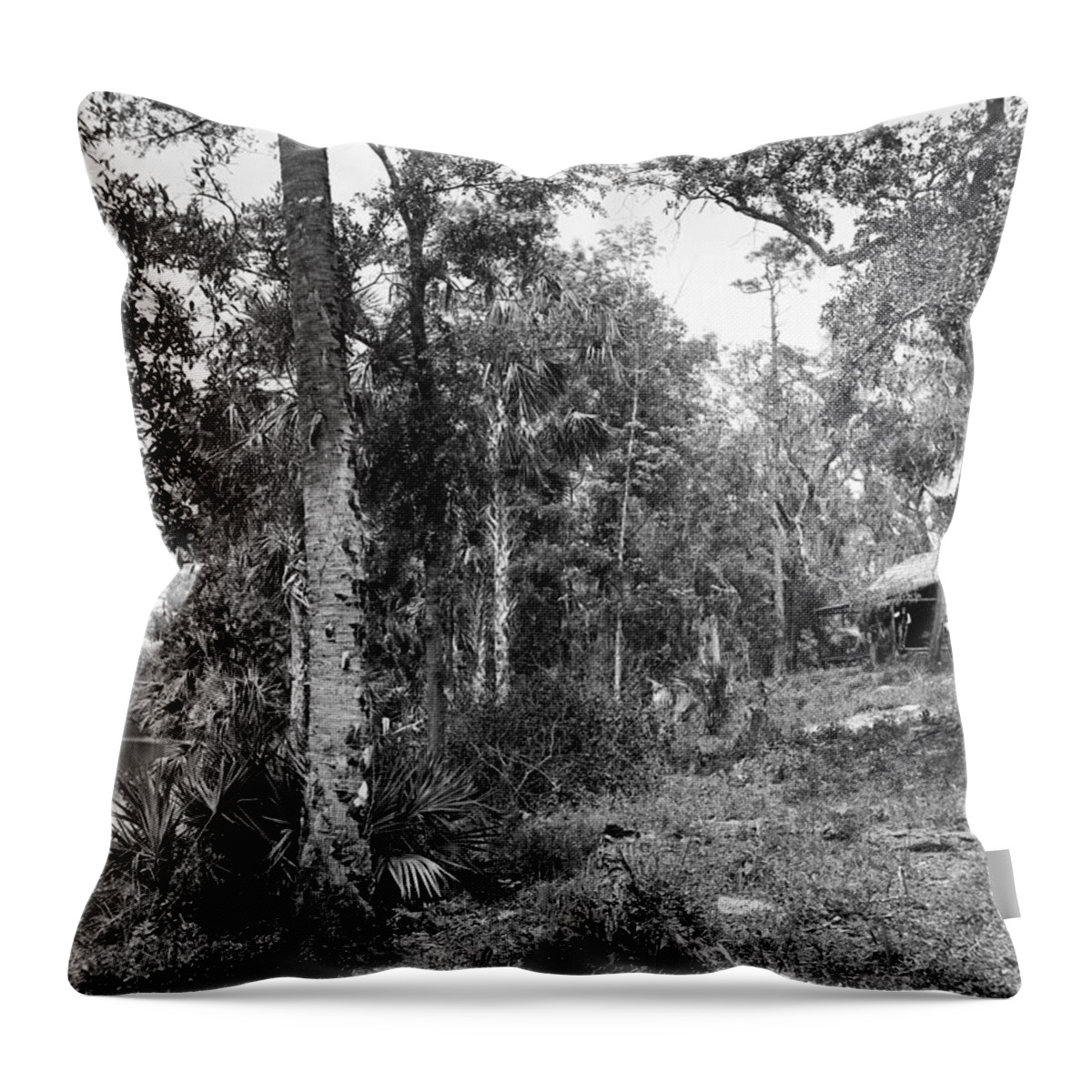 1894 Throw Pillow featuring the photograph Florida Log Cabin, C1894 by Granger