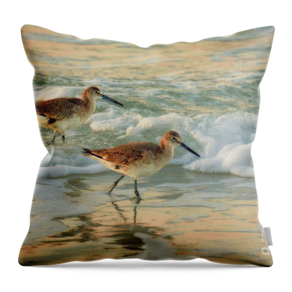 Florida Throw Pillow featuring the photograph Florida Sandpiper Dawn by Henry Kowalski