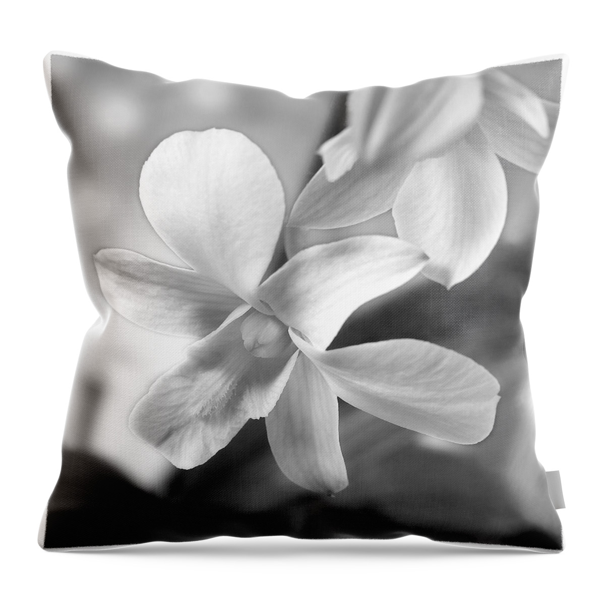 White Orchid Throw Pillow featuring the photograph White Orchid #2 by Mike McGlothlen