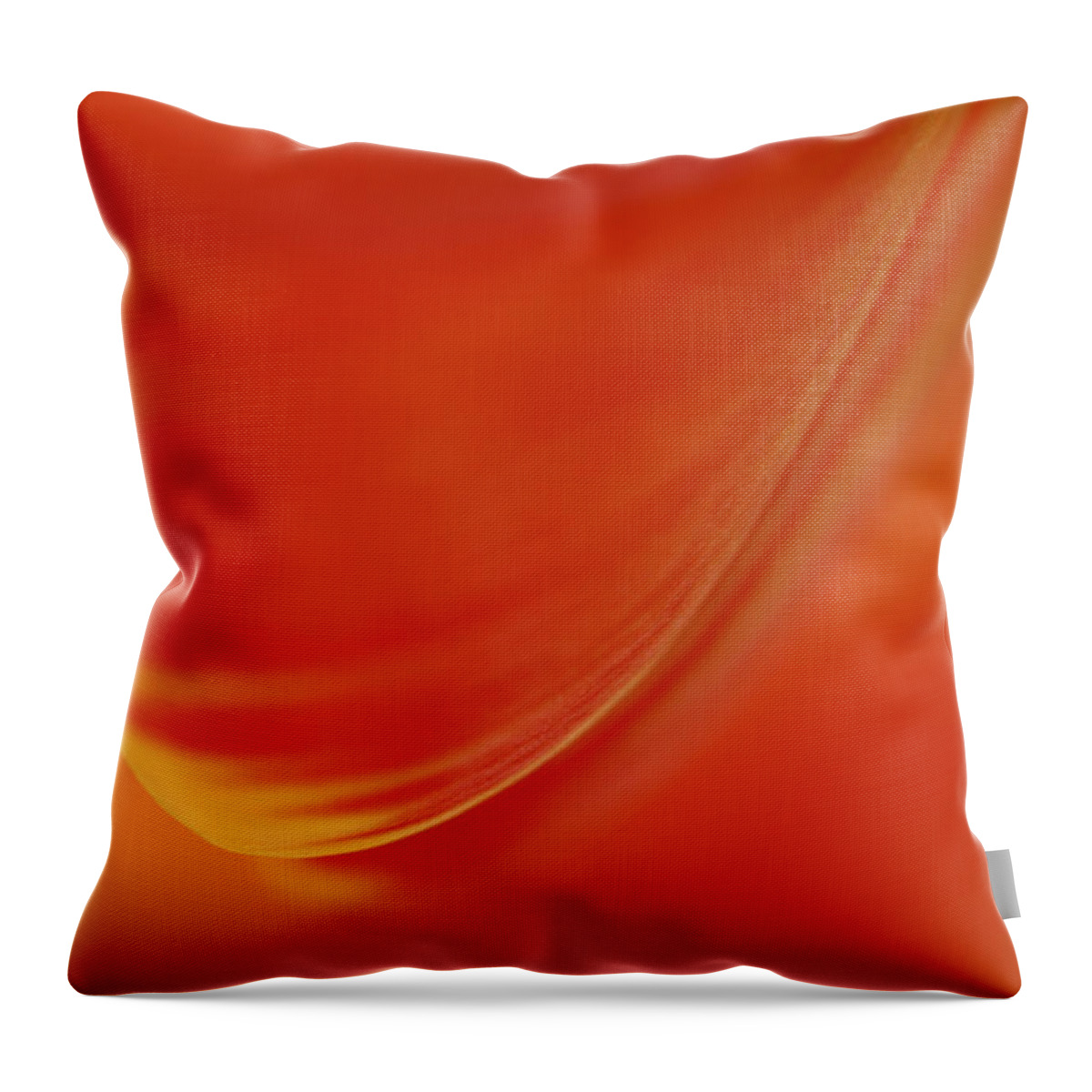 Abstract Throw Pillow featuring the photograph Flower Abstract by Juergen Roth