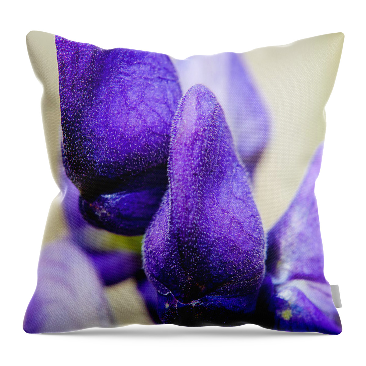 Flower Throw Pillow featuring the photograph Wolf's bane flower buds against a light background by Nick Biemans