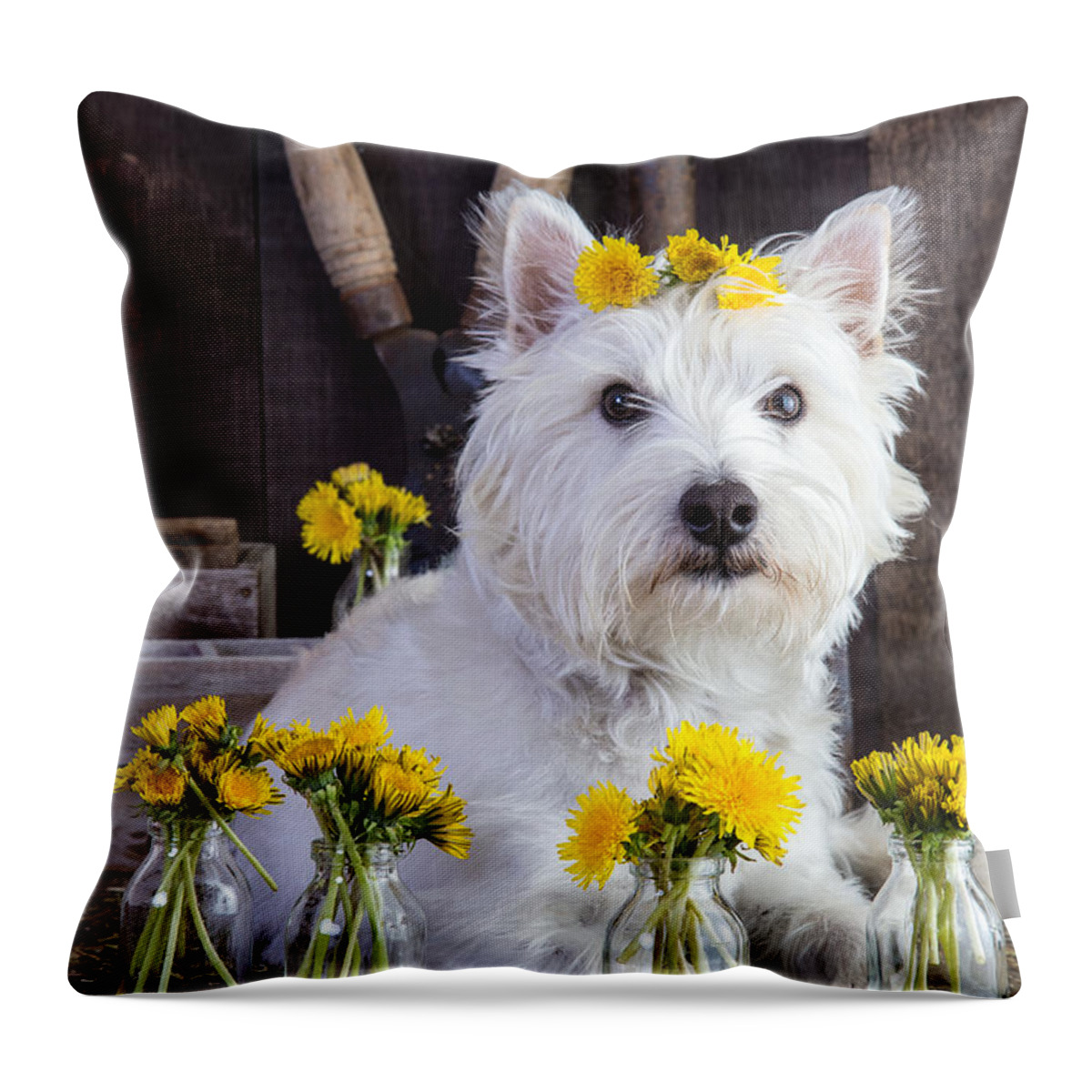 Dog Throw Pillow featuring the photograph Flower Child by Edward Fielding