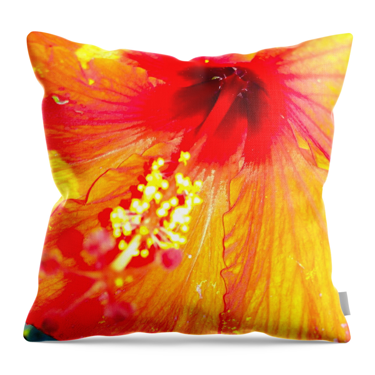 Orange Throw Pillow featuring the photograph Flower Fire by Beth Saffer