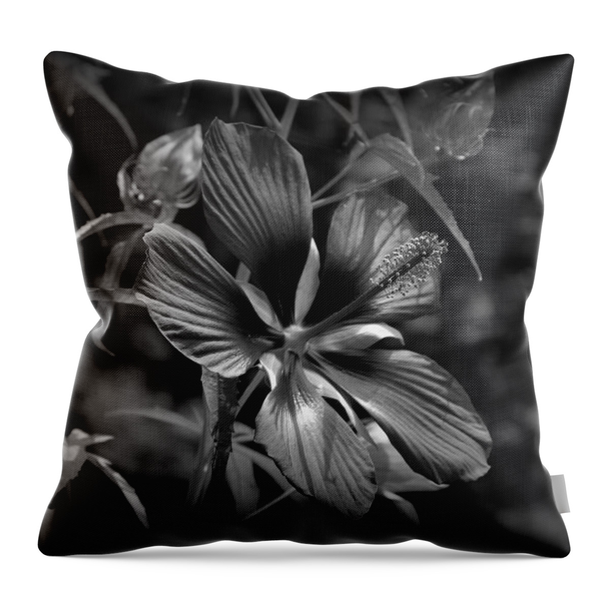Flower In B&w Throw Pillow featuring the photograph Flower in B-W by Beth Vincent