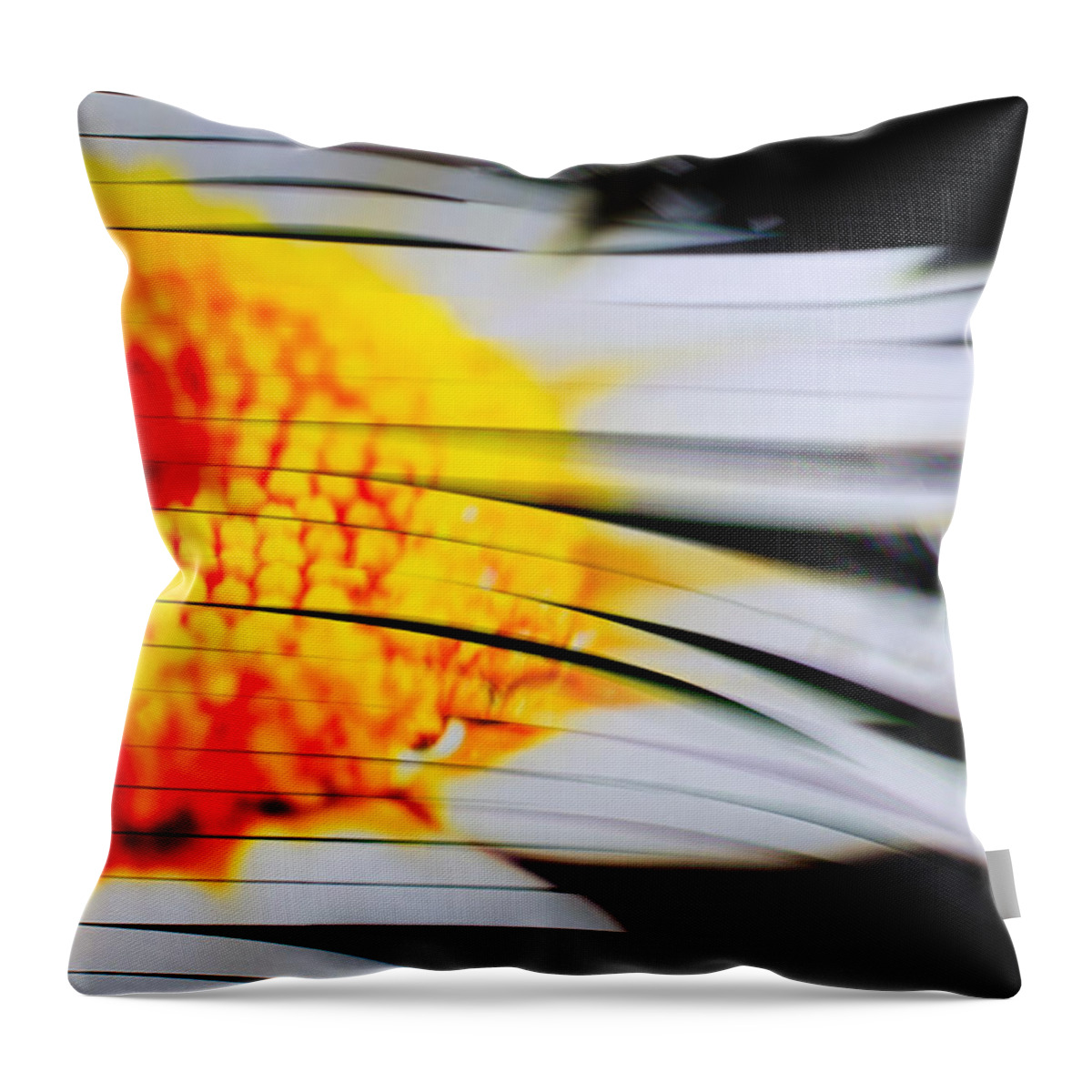Flower Throw Pillow featuring the photograph Flower in the Wind by Jonas Luis