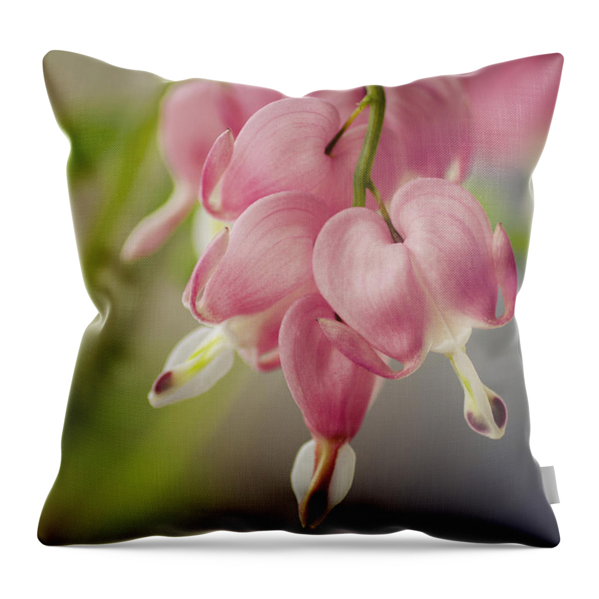 Arching Flower Stems Throw Pillow featuring the photograph Flower Love by Teri Virbickis