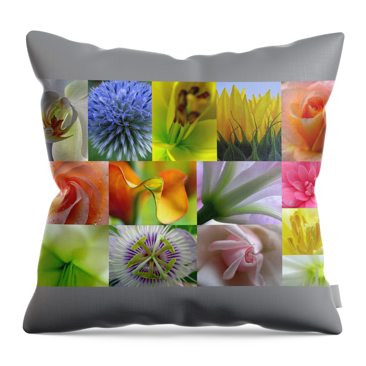 Artwork Throw Pillow featuring the photograph Flower Macro Photography by Juergen Roth