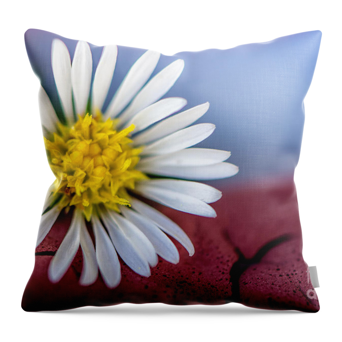 Building Throw Pillow featuring the photograph Flower On Old Paint 2 by Michael Arend