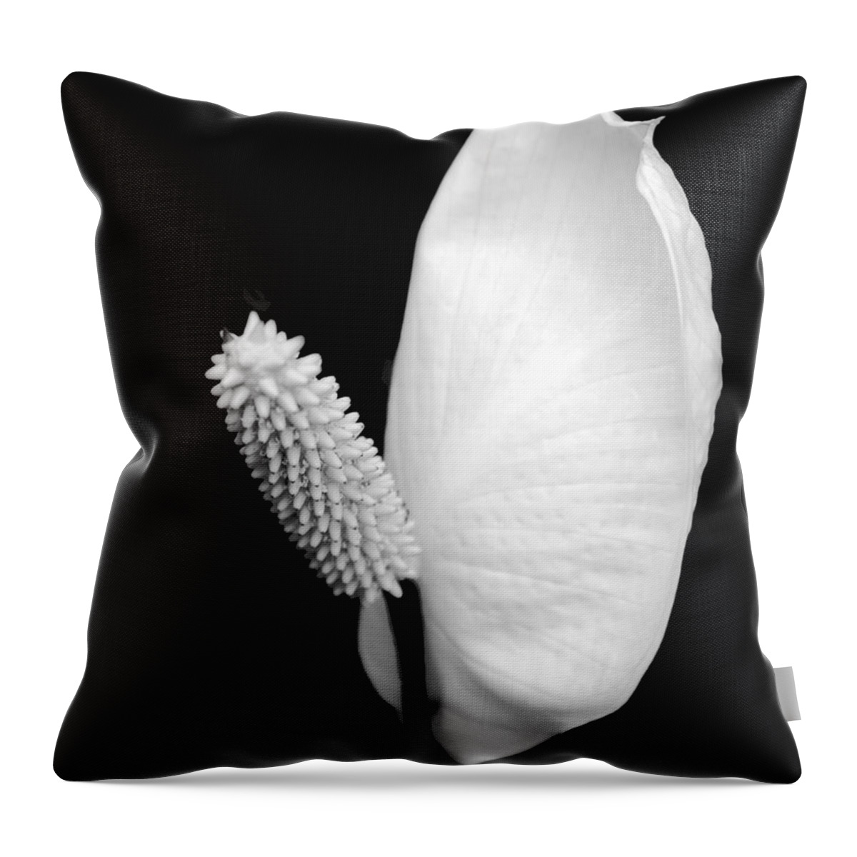 Flower Throw Pillow featuring the photograph Flower Power Peace Lily by Tom Mc Nemar