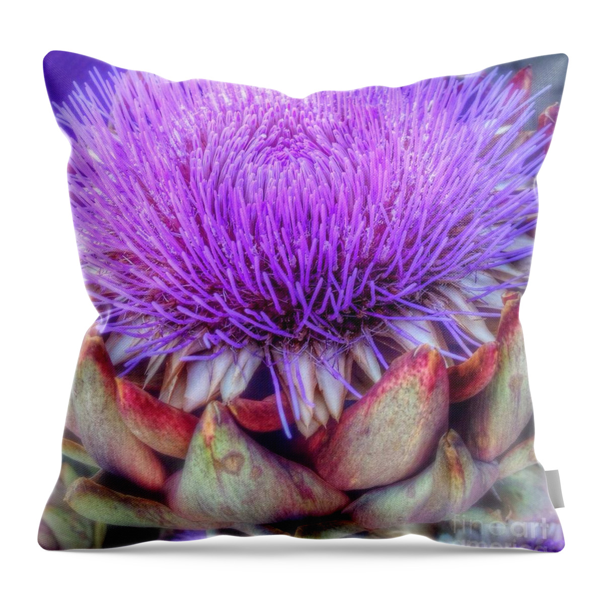 Flowering Artichoke Throw Pillow featuring the photograph Flowering Artichoke by Susan Garren