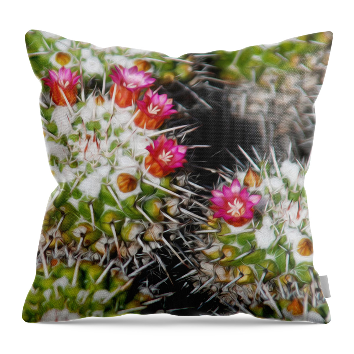 Las Palmas Throw Pillow featuring the photograph Flowering Cactus by Tracy Winter