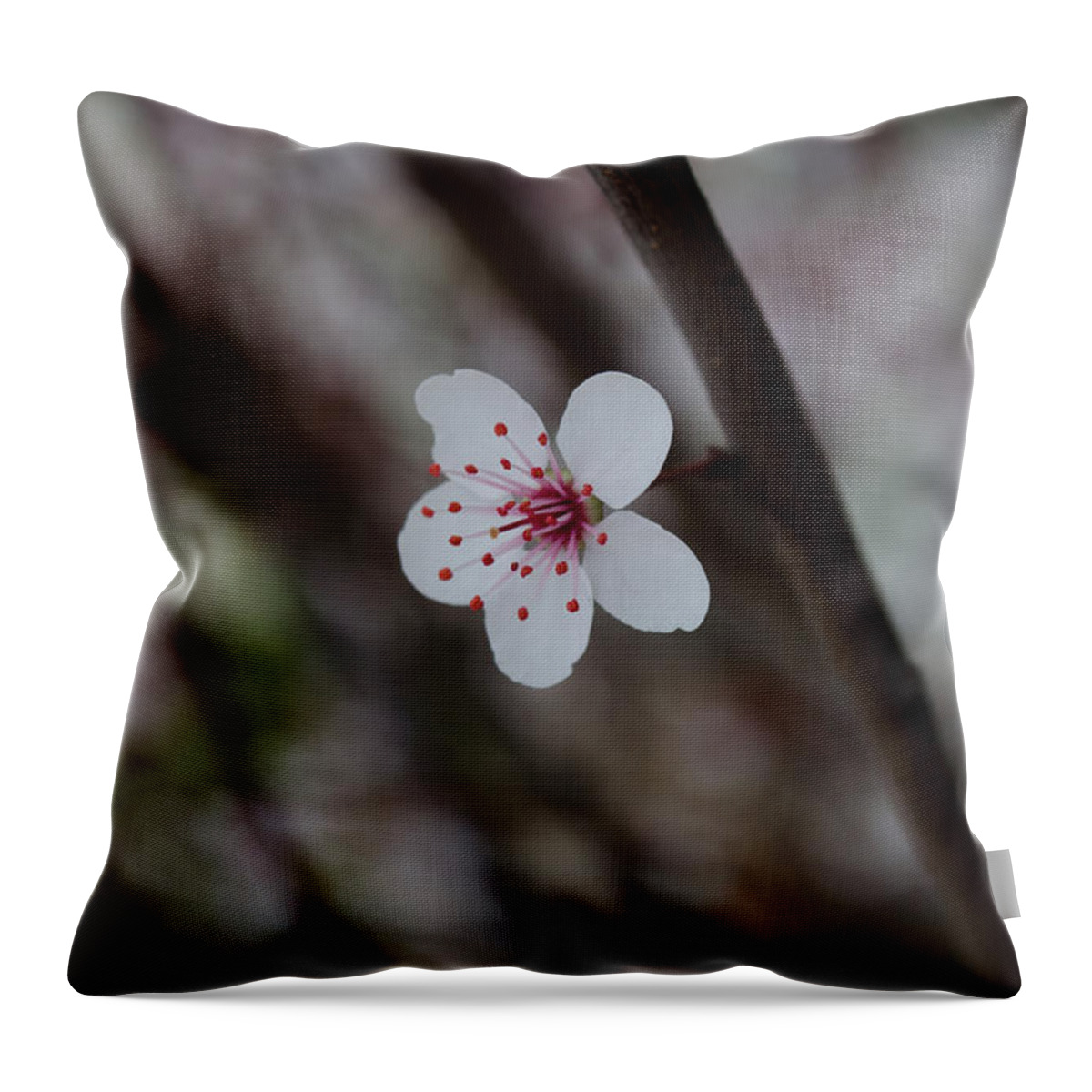Flower Throw Pillow featuring the photograph Flowering Plum 3 by Michael Arend
