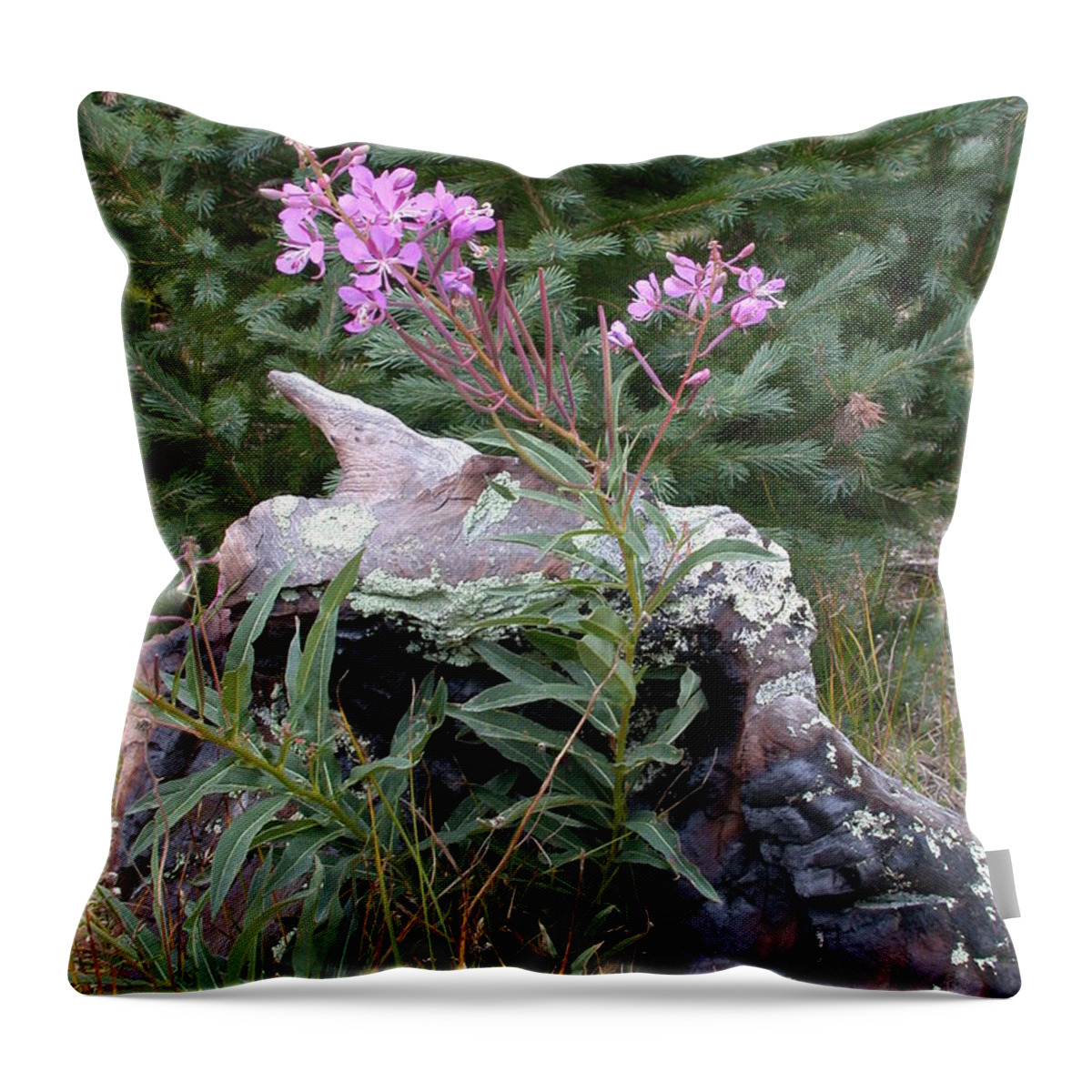 Tree Stump Throw Pillow featuring the photograph Flowering Stump by Shane Bechler