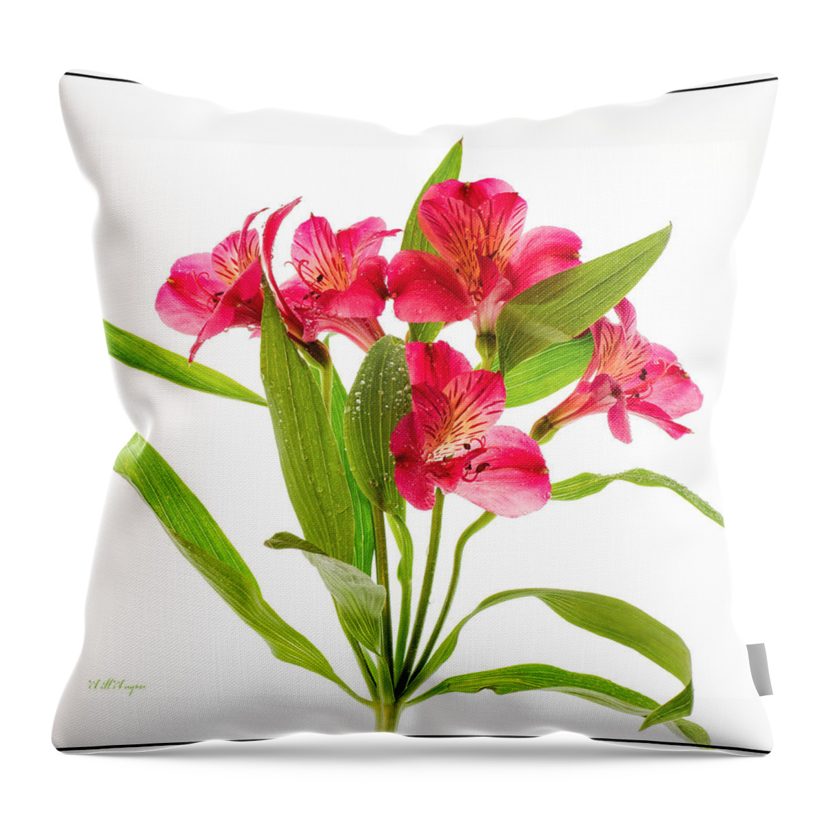 Bunch Throw Pillow featuring the photograph Flowers - Framed by Will Wagner