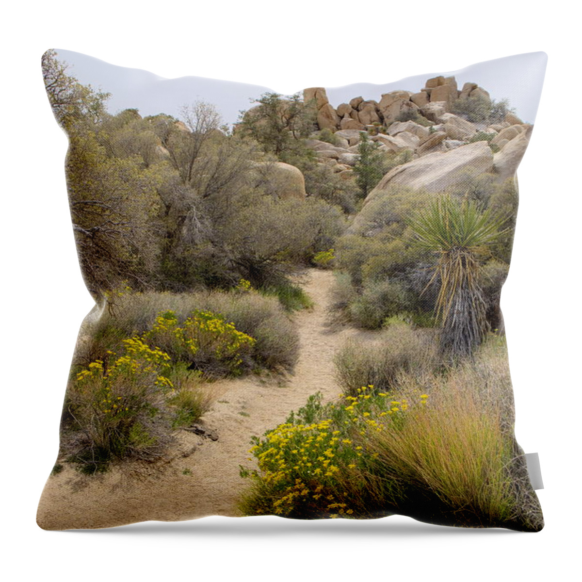 Ca Throw Pillow featuring the photograph Flowers Along the Path by Lucinda Walter