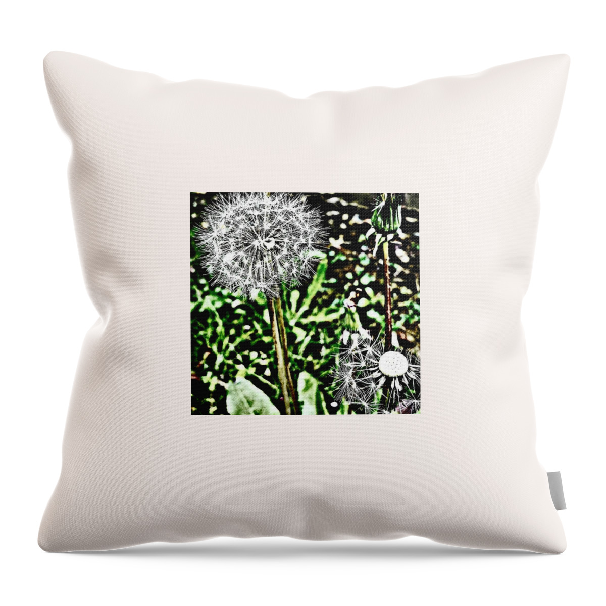 Beautiful Throw Pillow featuring the photograph Dandelions by Jason Roust