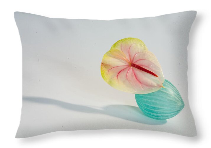 Flowers Throw Pillow featuring the photograph Flowers in Vases2 by Matthew Pace