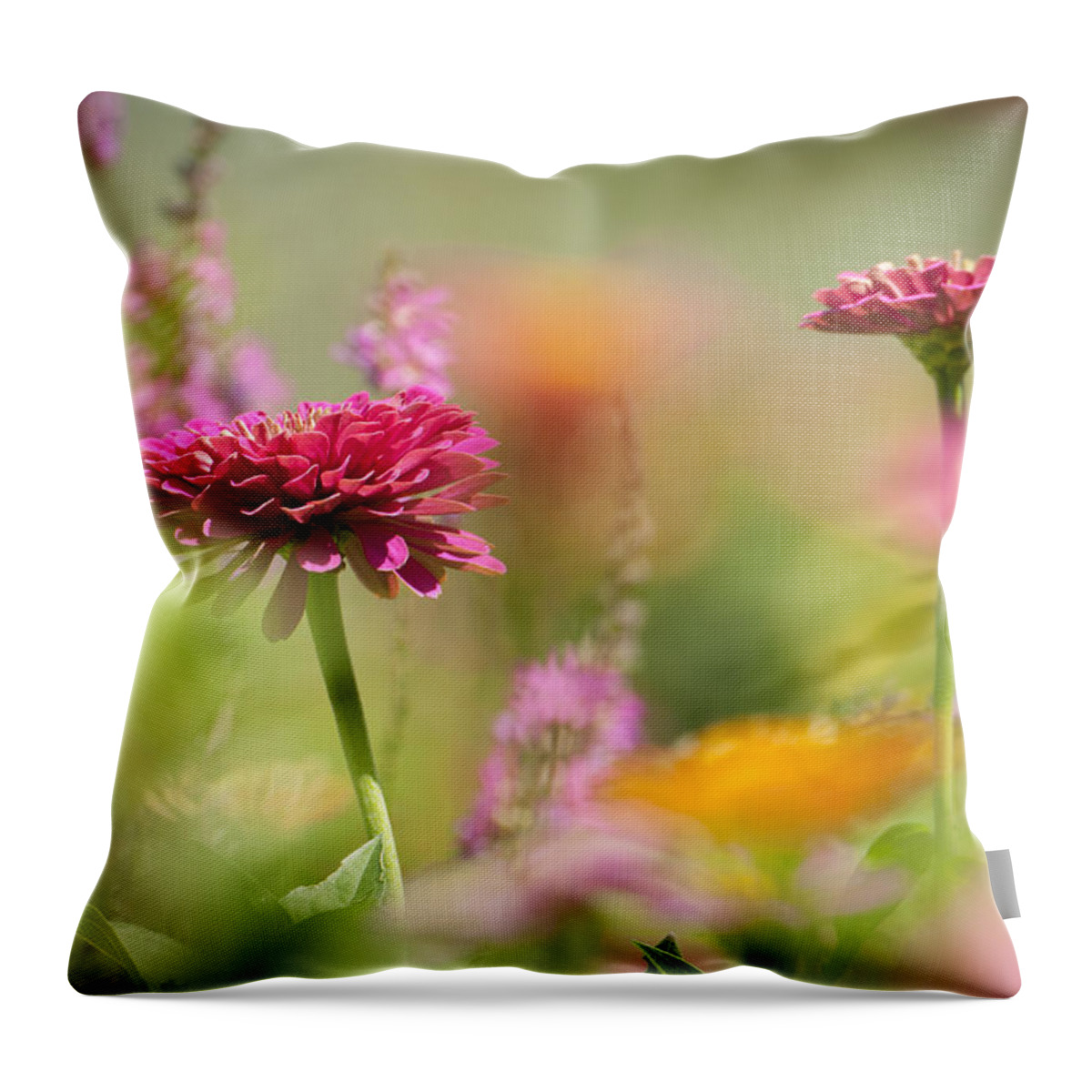 Flowers Throw Pillow featuring the photograph Flowers of the garden by Chad Davis