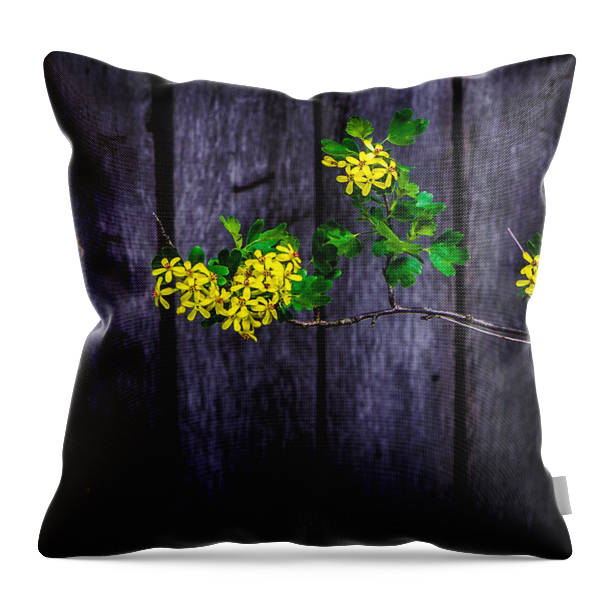 Barn Throw Pillow featuring the photograph Flowers On Abandoned Farm House by Michael Arend