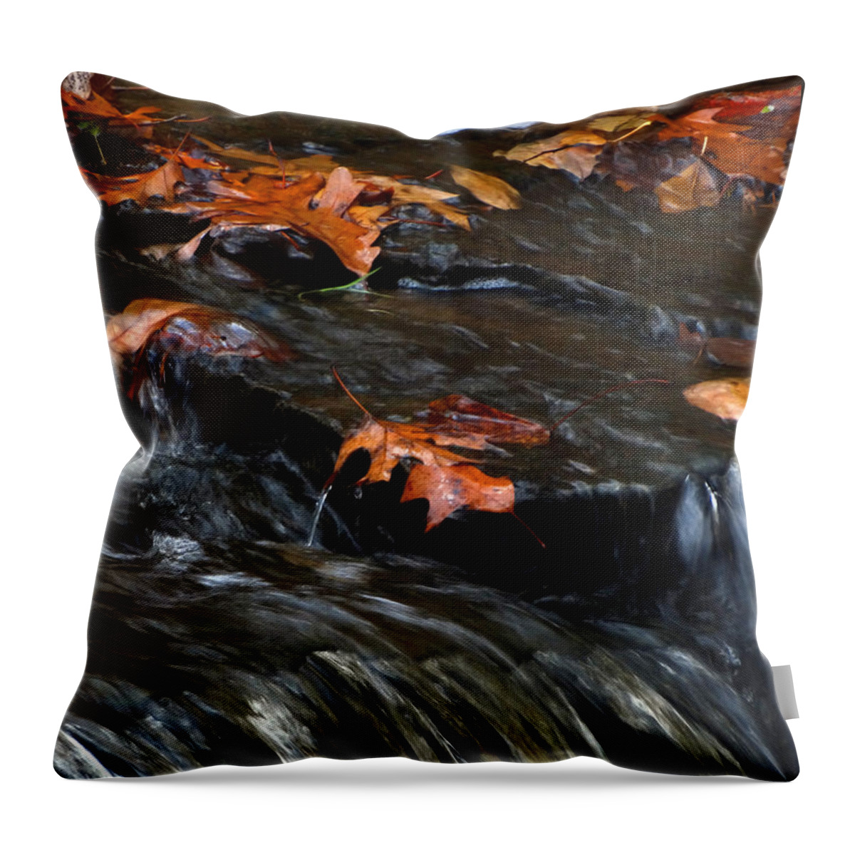 Waterfall Throw Pillow featuring the photograph Flowing Creek by David T Wilkinson