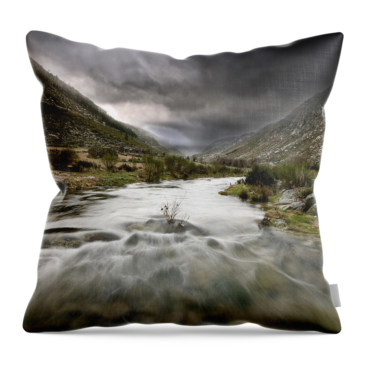 Landscape Throw Pillow featuring the photograph Flowing stream by Jorge Maia