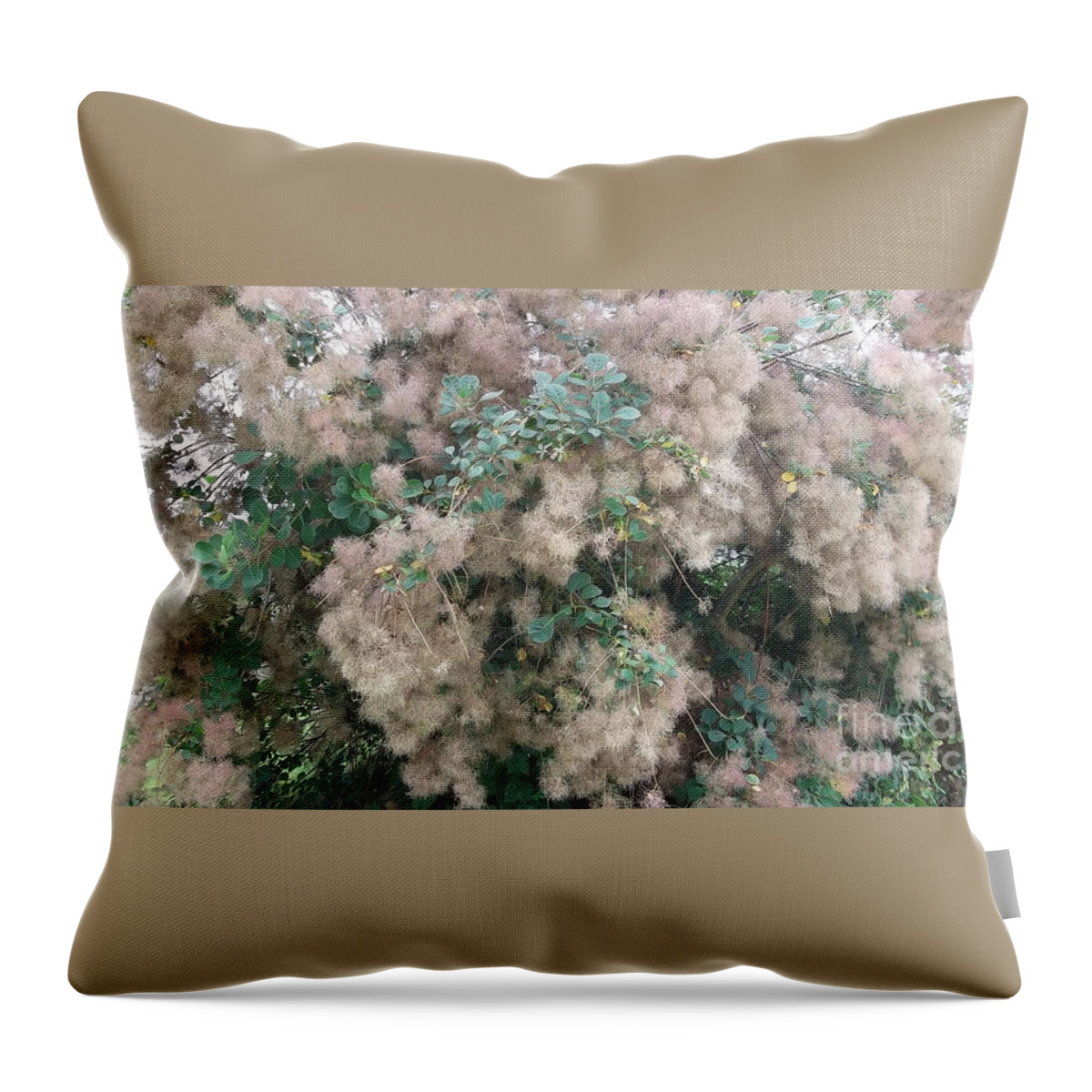 Fluffy Blossom Throw Pillow featuring the photograph Fluffy Blossom by Tracey Williams