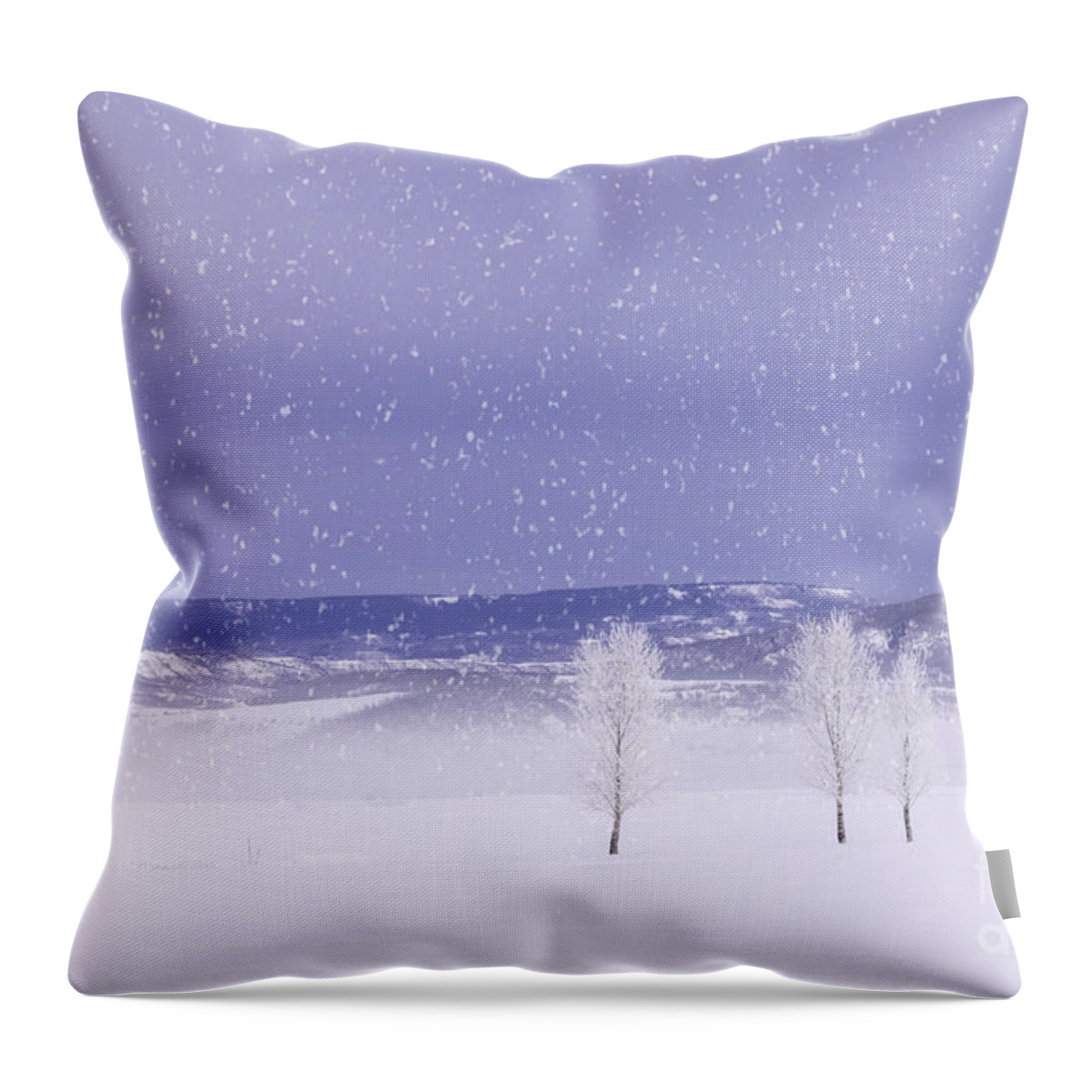Colorado Throw Pillow featuring the photograph Flurry Trio by Kristal Kraft