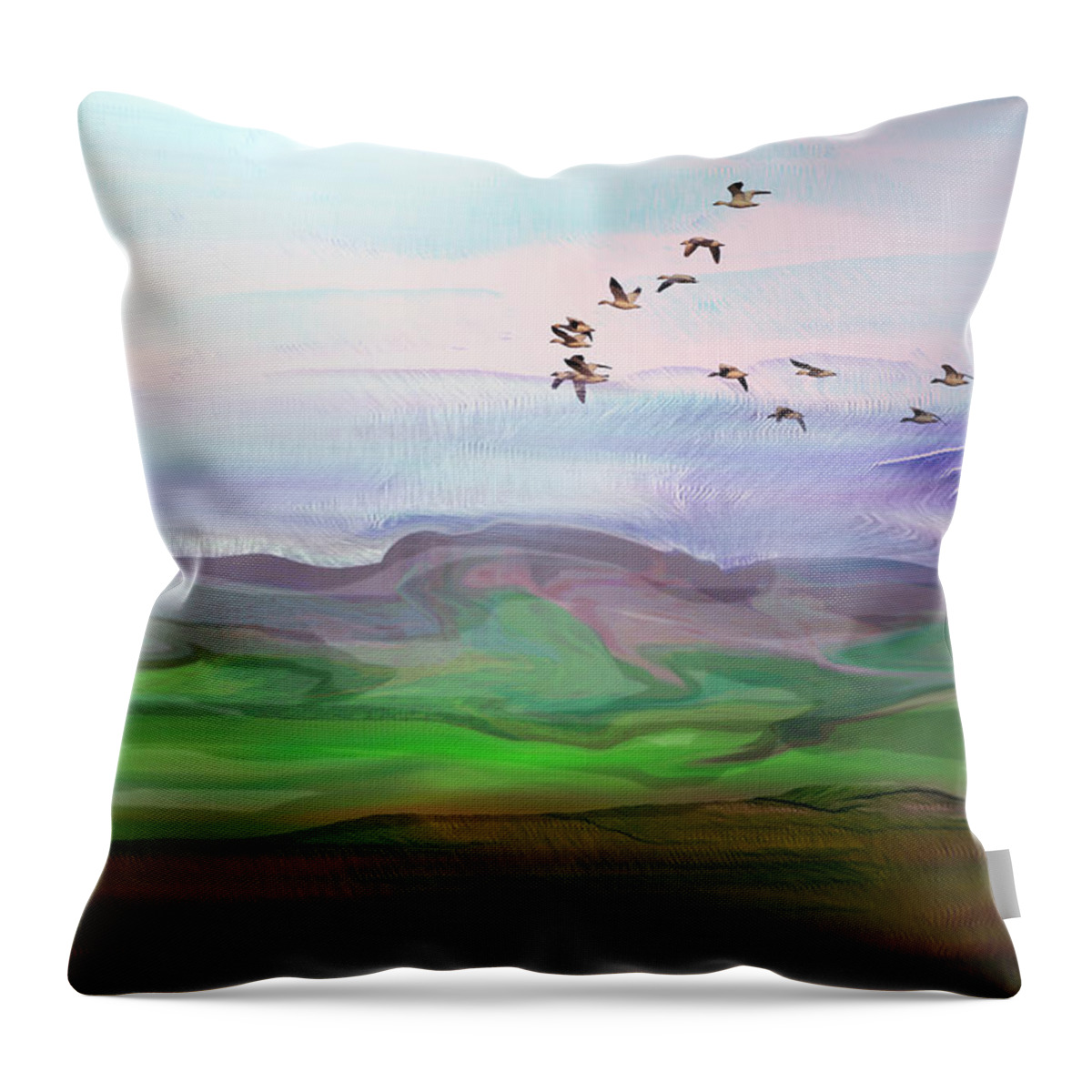 Digital Landscape Throw Pillow featuring the digital art Fly By Digital Painting by Kae Cheatham
