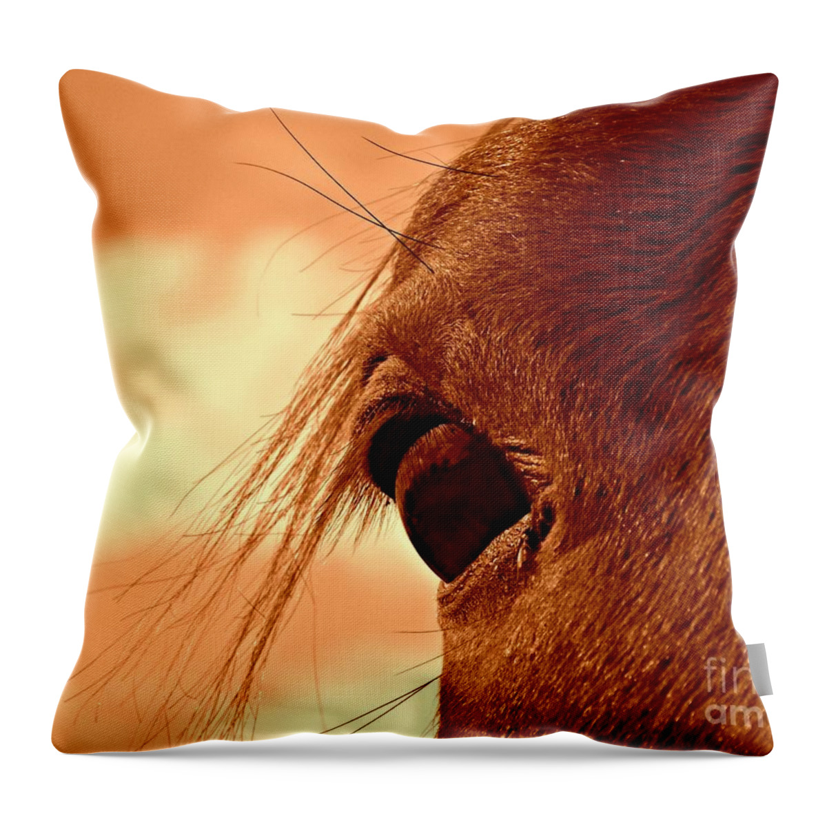 Horse Throw Pillow featuring the photograph Fly in the Eye by Clare Bevan