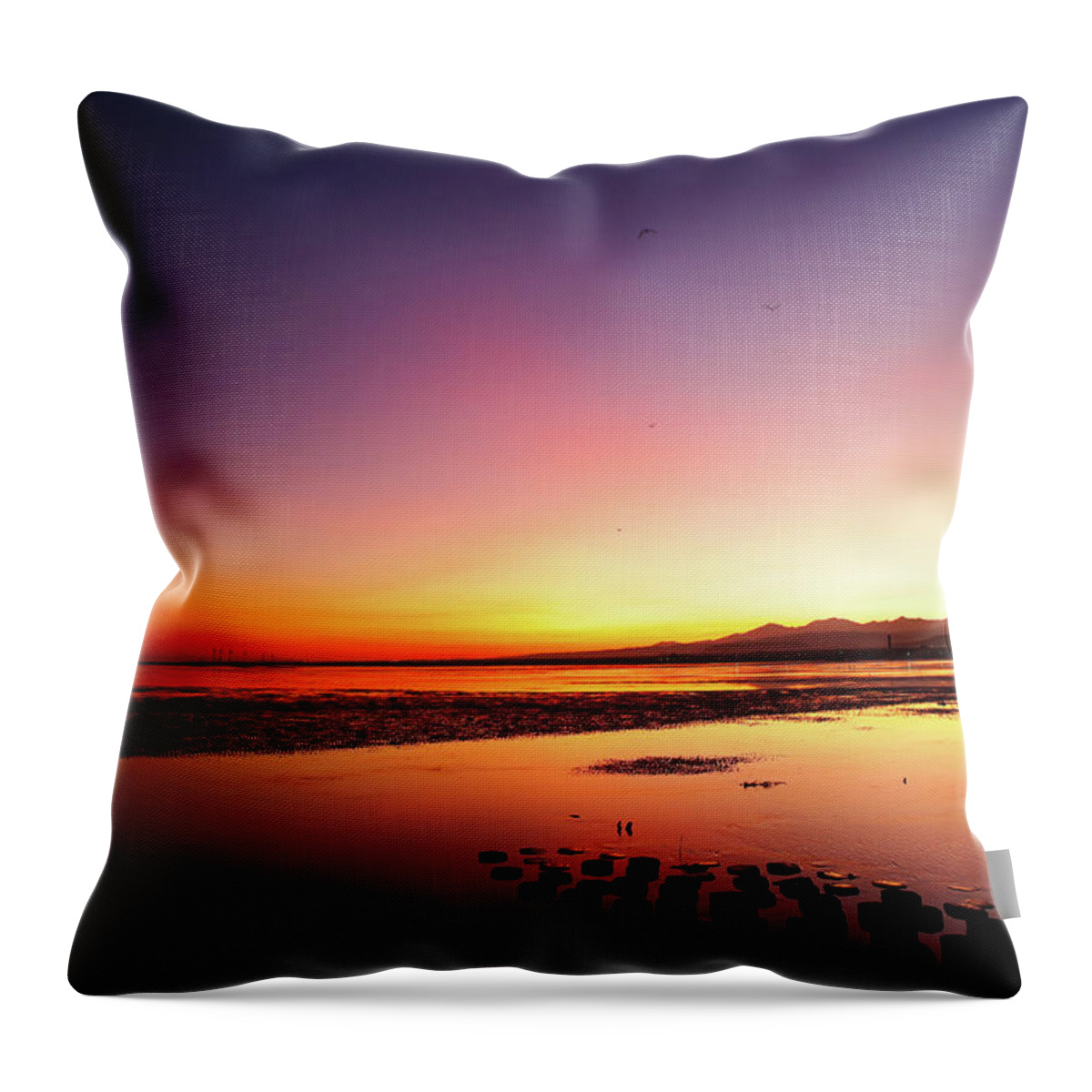 Tranquility Throw Pillow featuring the photograph Flying Birds Into The Rays At Dusk by Thunderbolt tw (bai Heng-yao) Photography