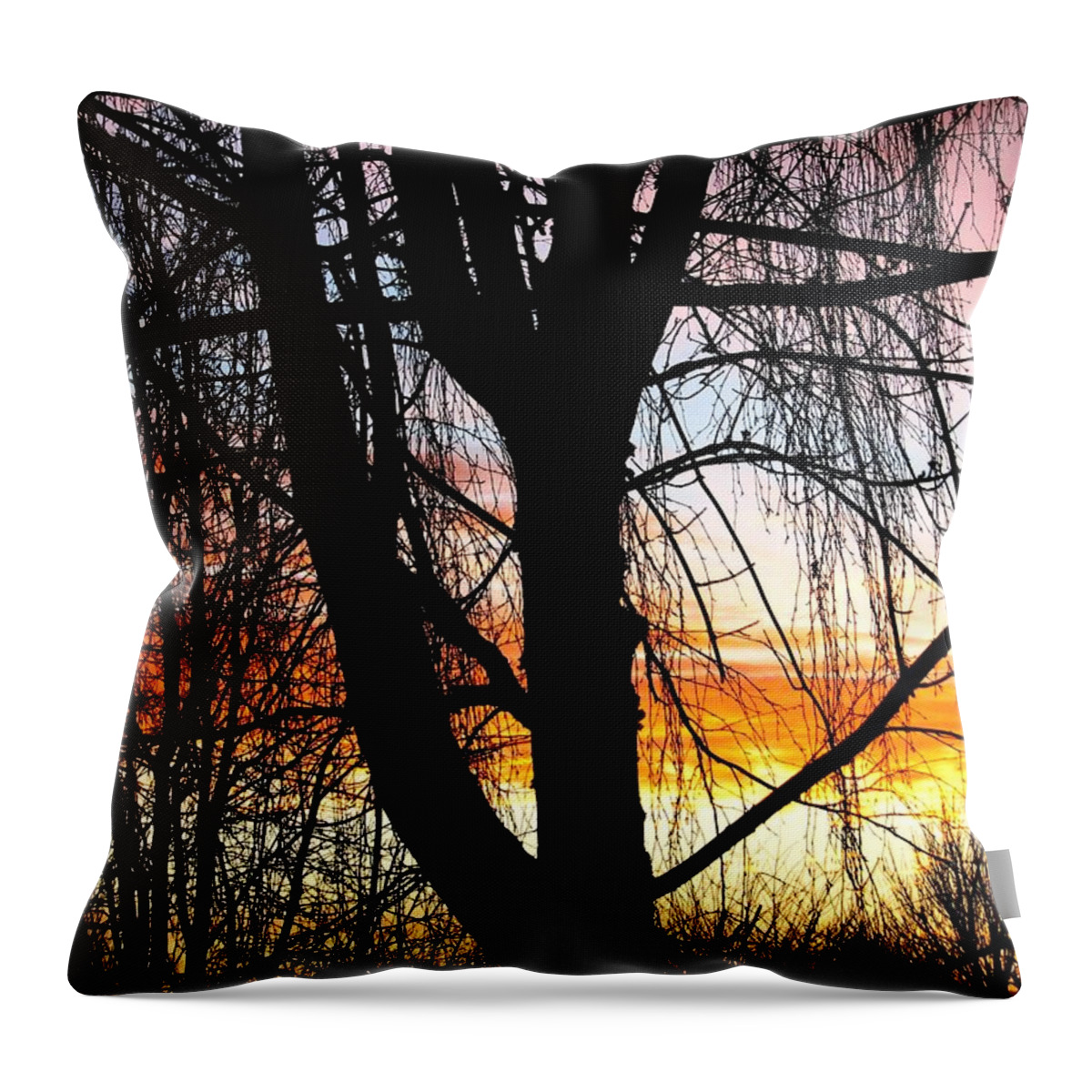  Throw Pillow featuring the photograph Flying Colors II by Chris Dunn