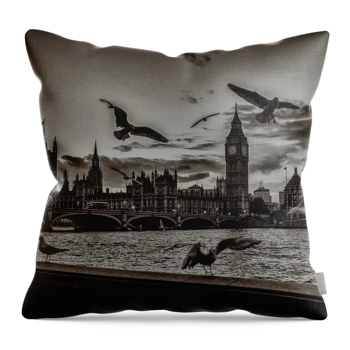 Arch Throw Pillow featuring the photograph Flying Free & Easy by Rodwey2004