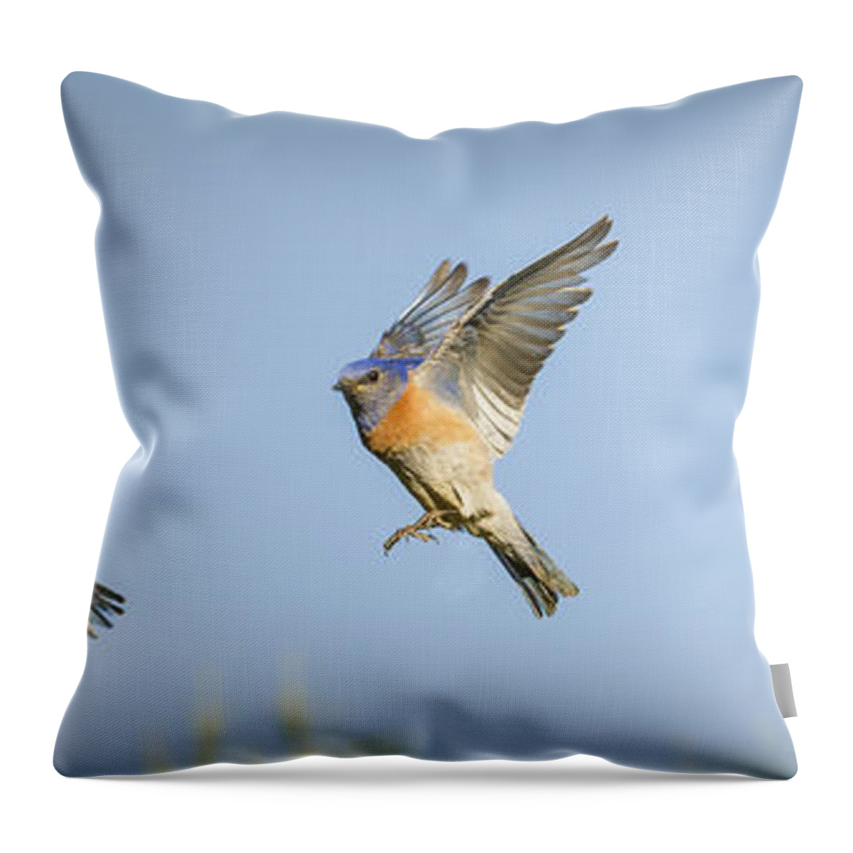 Birds Throw Pillow featuring the photograph Flying by Jean Noren