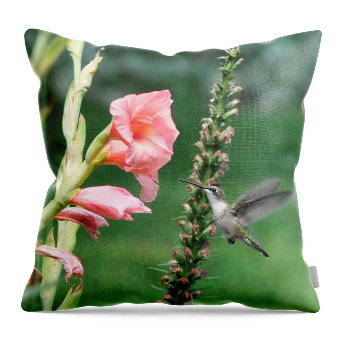 Hummingbird Throw Pillow featuring the photograph Flying Still by Michelle DiGuardi